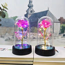 GobekUsa LED Eternal Rose Light for Valentine's Day and Weddings