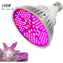LED Full Spectrum Light for Herb Plants USB Powered