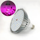 LED Full Spectrum Light for Herb Plants USB Powered