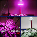 LED Full Spectrum Light for Herb Plants USB Powered