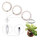 LED Grow Light Full Spectrum Angel Ring USB Lamp for Indoor Plants