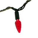 LED Multi-Color Christmas Lights by Lee Display