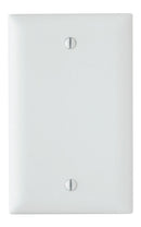 Legrand TP13 Thermoplastic Blank Wall Plate