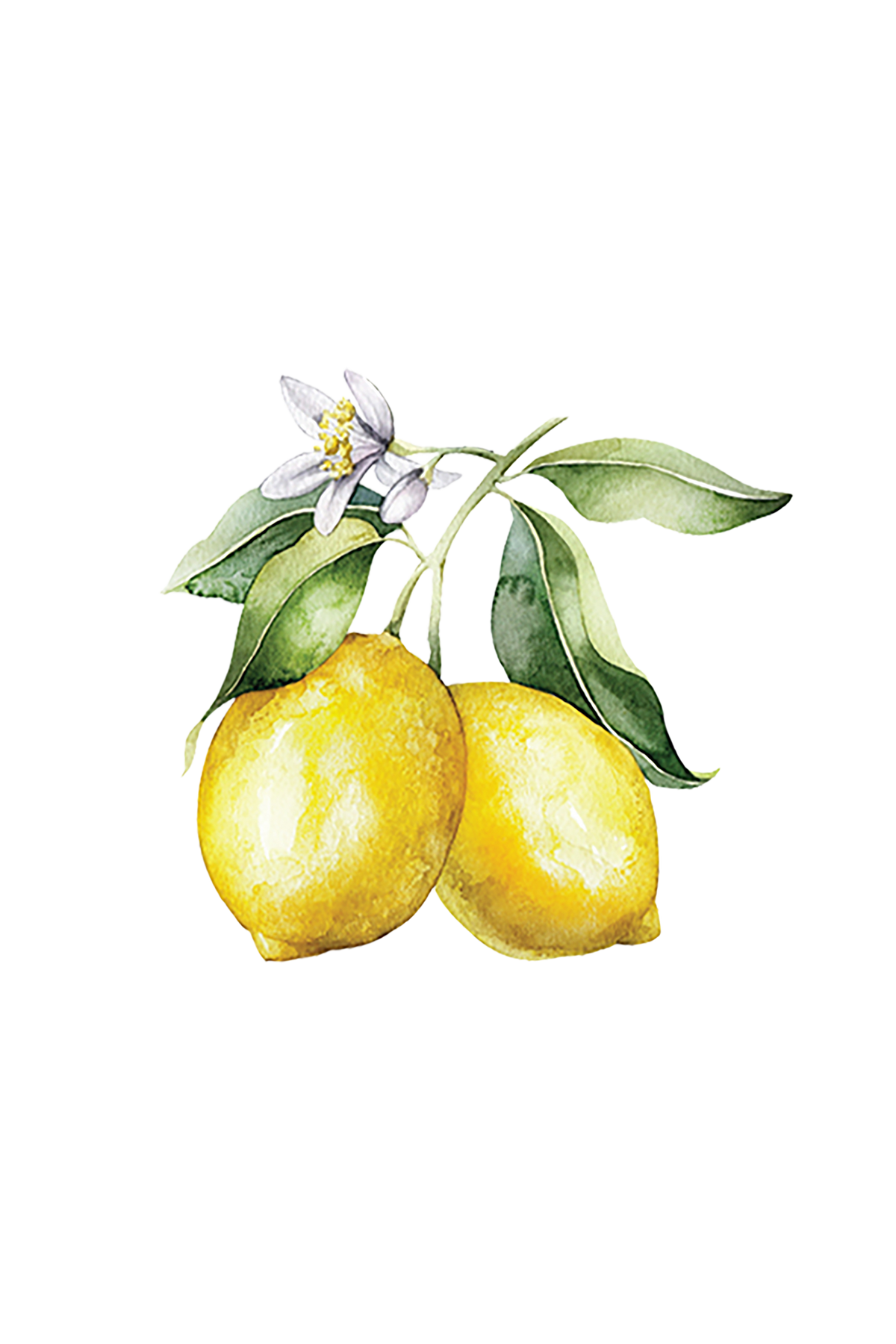 Lemon Essential Oil, photo 2 of 3