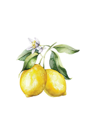 Lemon Essential Oil