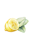 Dish Soap | Lemon & Eucalyptus by Rustic Strength