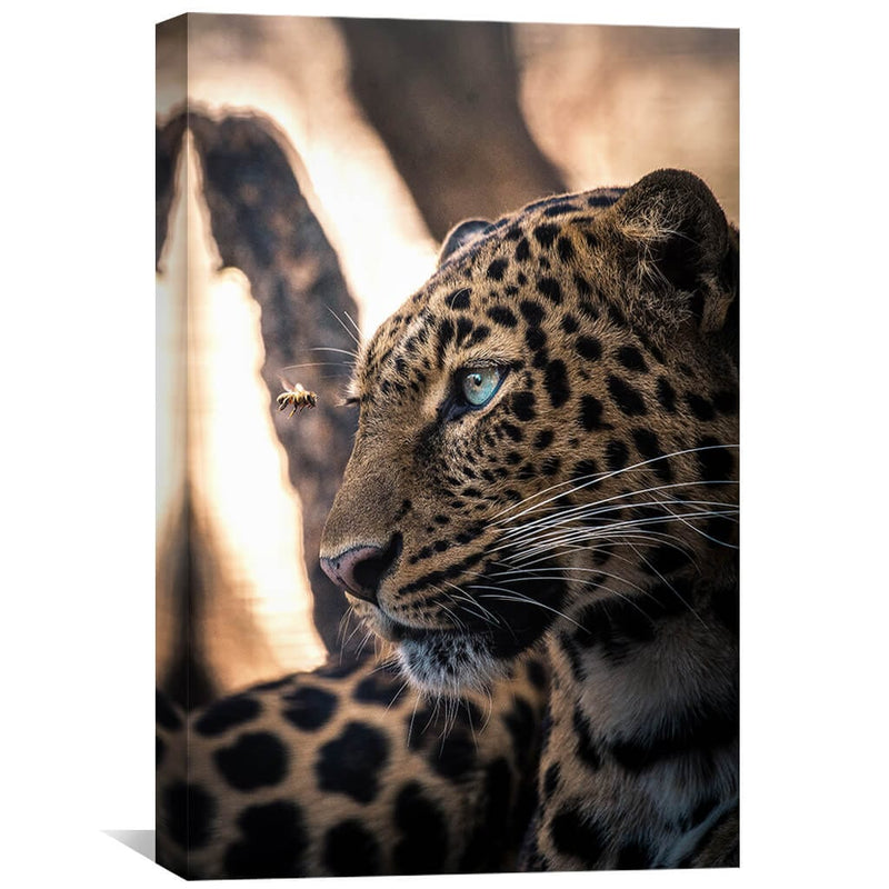 Leo Canvas