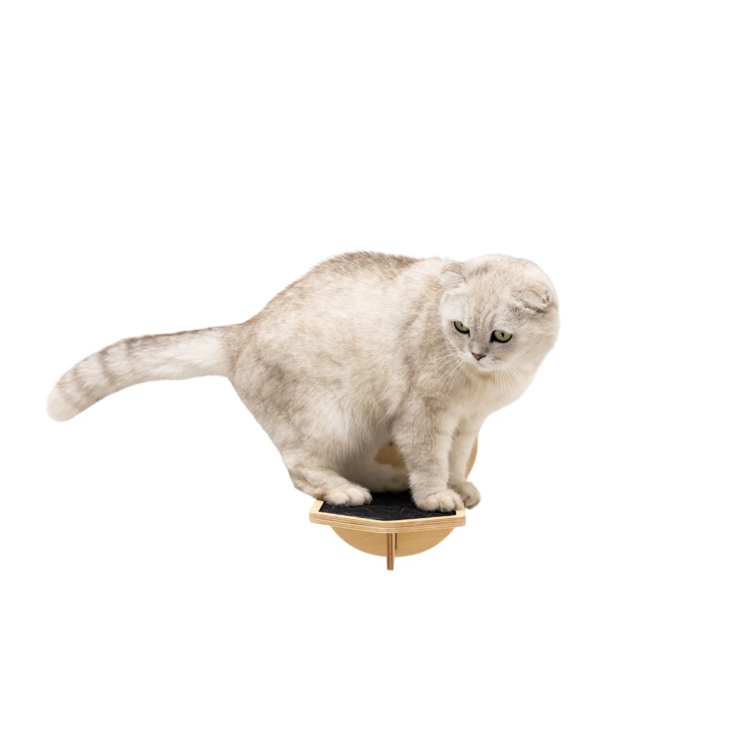 Wooden Cat Step - Light, photo 3 of 4