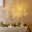 2ft Lighted Indoor & Outdoor Birch Tree by EP Designlab LLC
