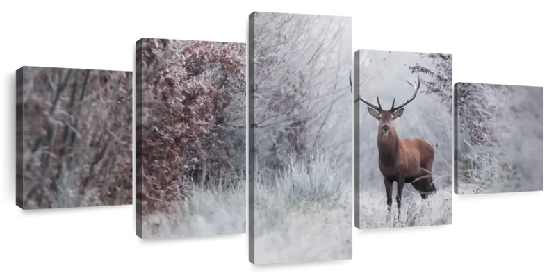 Deer Wall Art