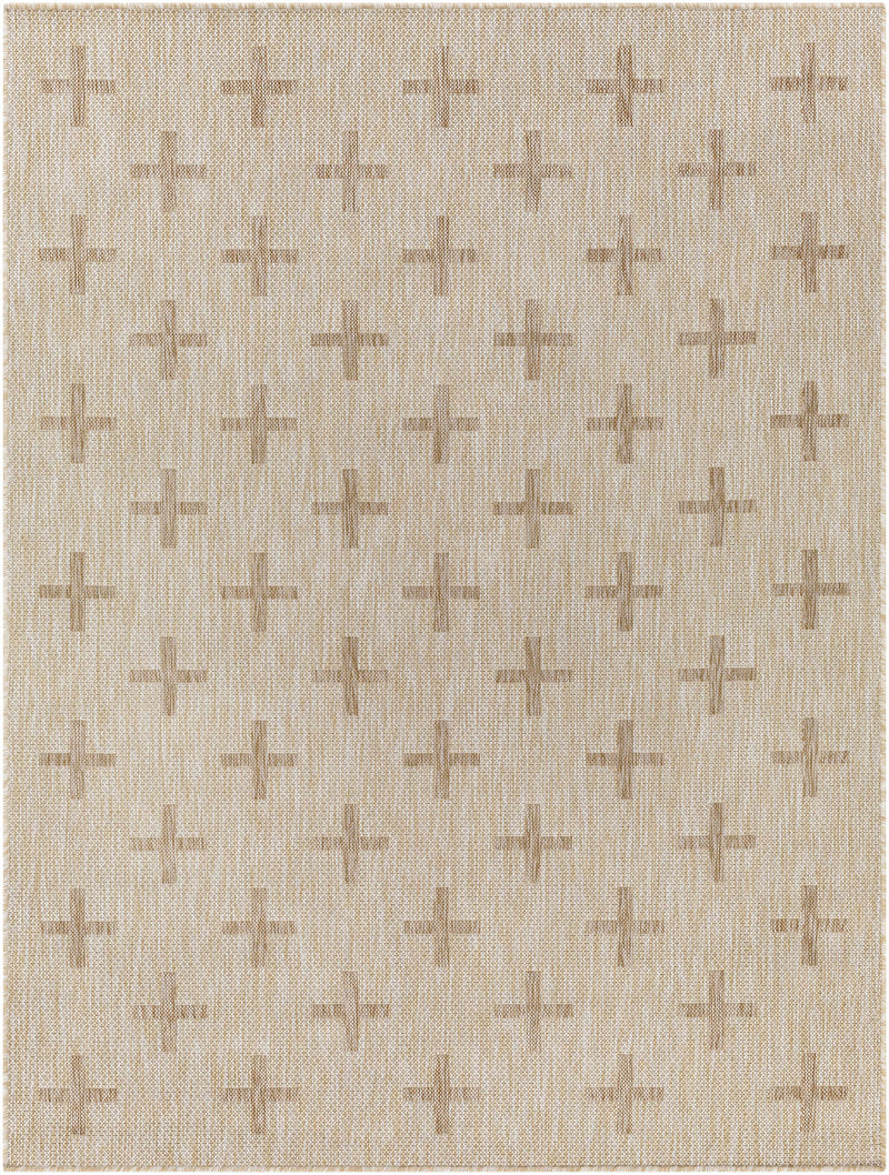 Limbo Beige Outdoor Area Rug