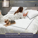 100% Cotton Luxe Duvet Cover Set