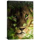 Lion Portrait Canvas