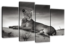 Lioness Wall Art