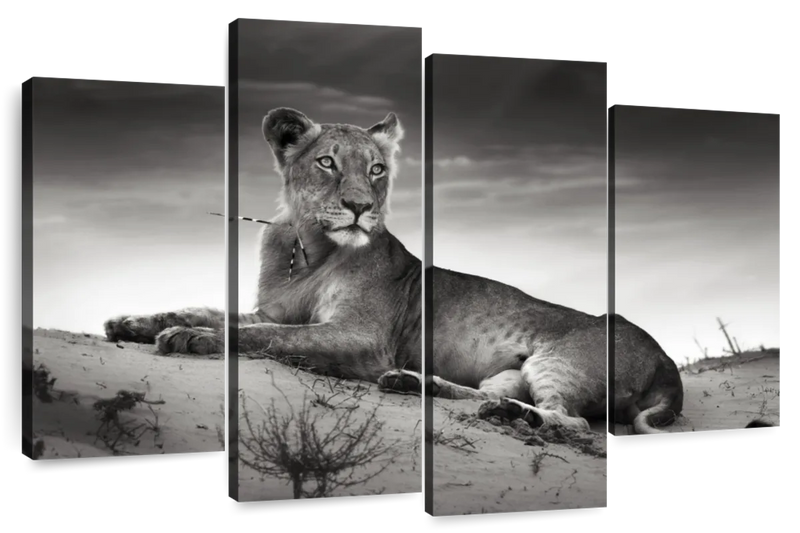 Lioness Wall Art