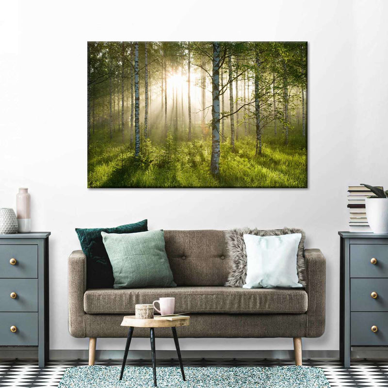 Birch Forest Sunlight Wall Art