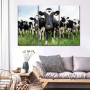 Holstein Cows Wall Art