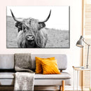 Solitary Highland Cow Wall Art