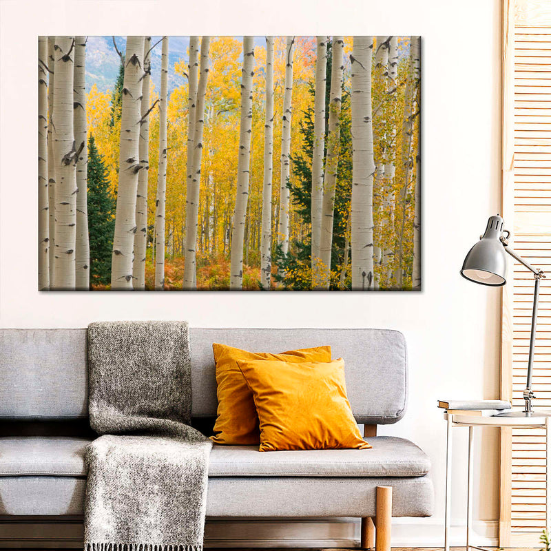 Elk Mountain Aspen Trees Wall Art