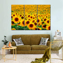 Endless Sunflower Field Wall Art