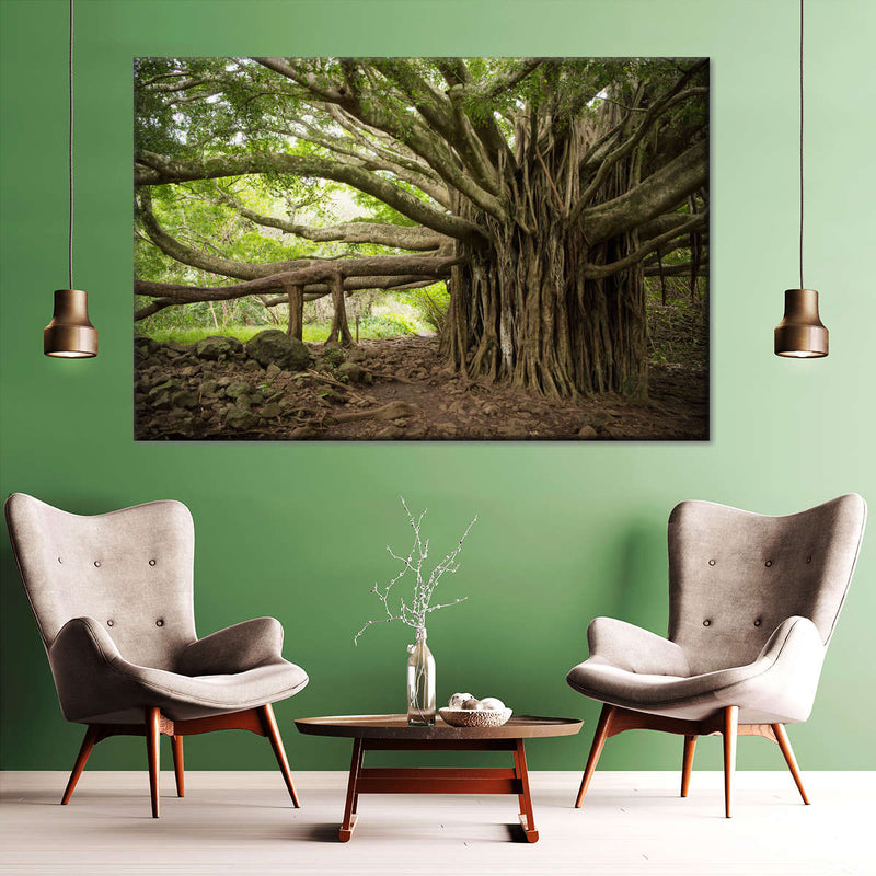 Banyan Tree Wall Art