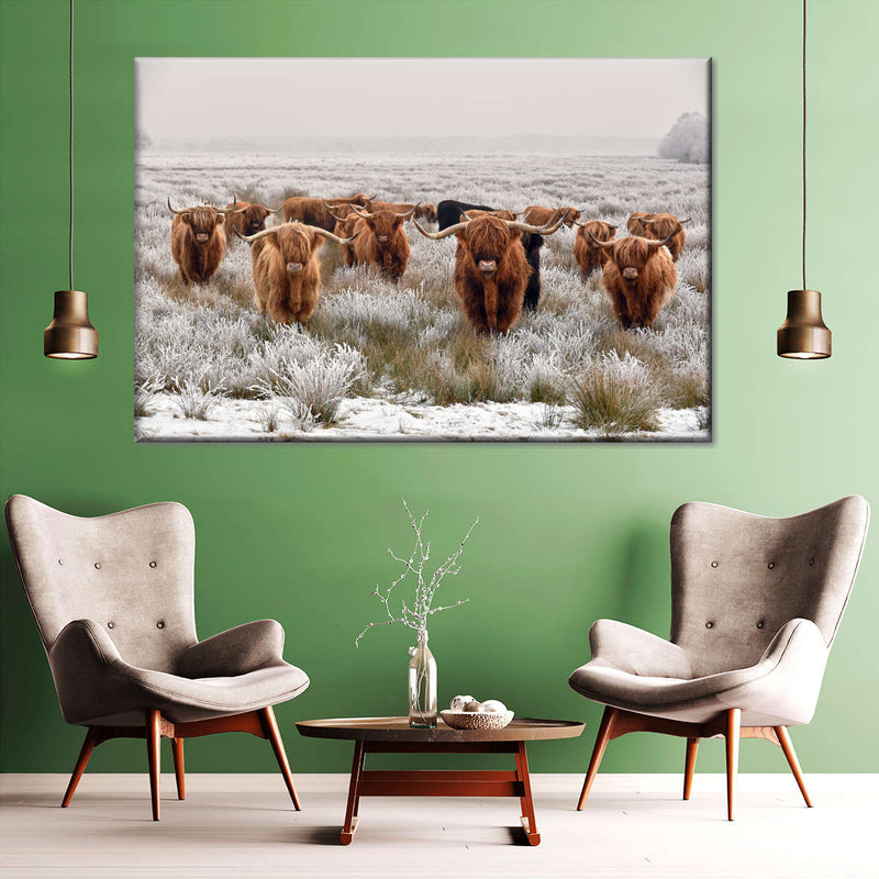 Winter Highland Cows Wall Art