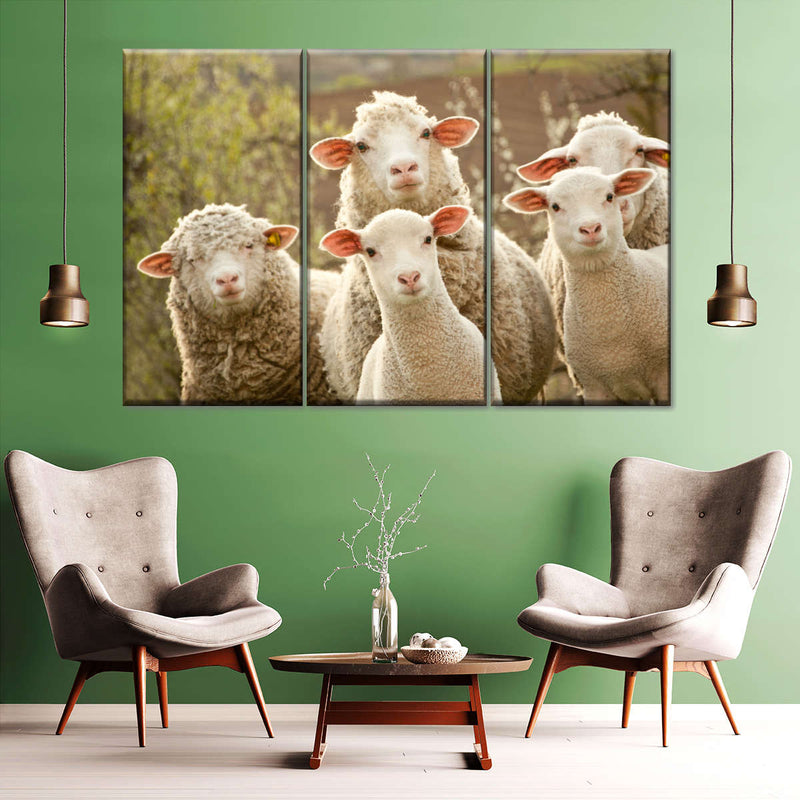 Stunned Sheep Wall Art