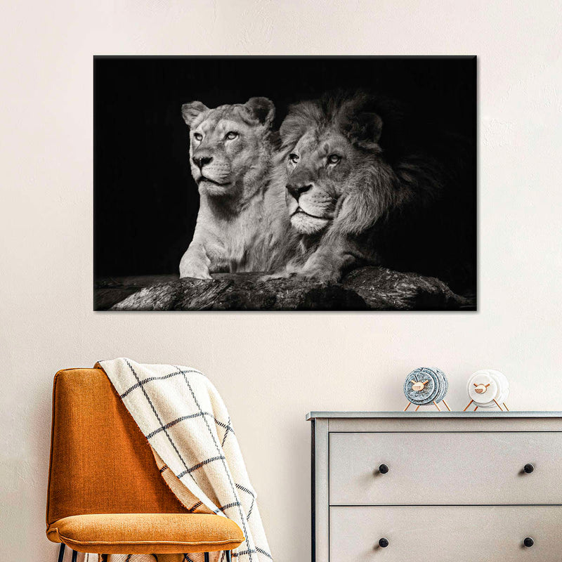 Lion And Lioness Mates Wall Art