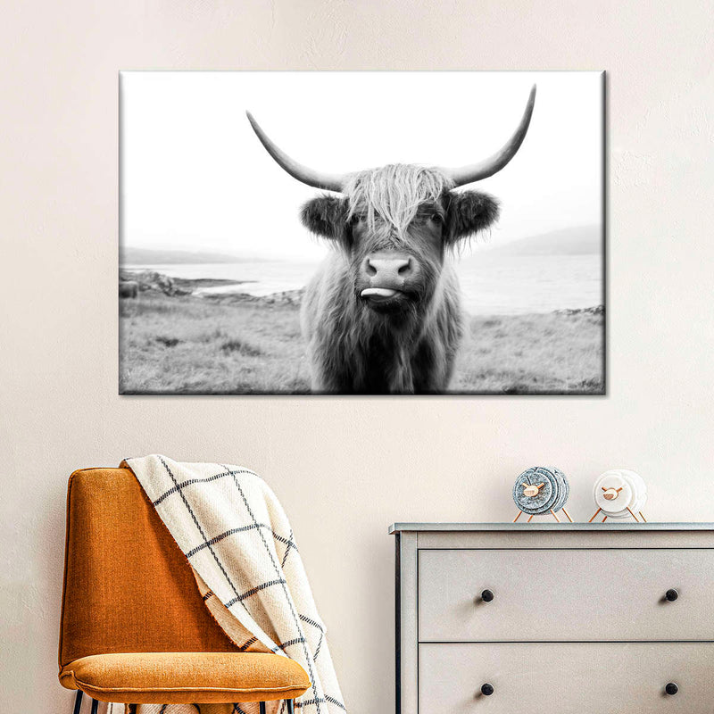 Funny Highland Cow Wall Art