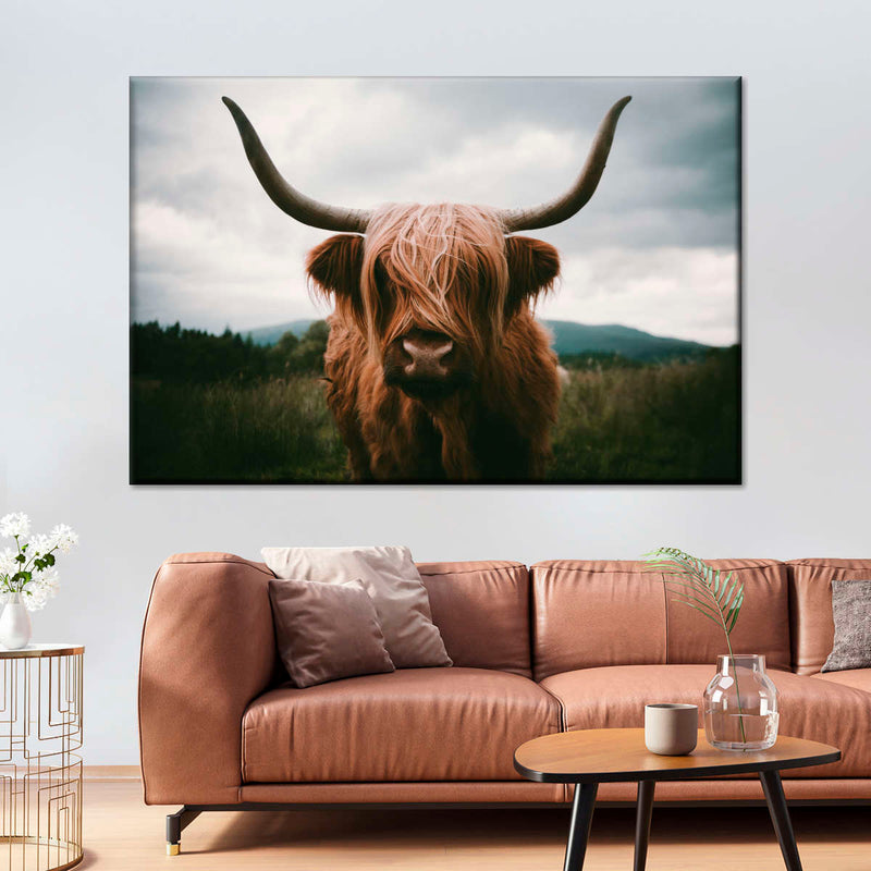 Open Field Highland Cow Wall Art