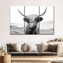 Funny Highland Cow Wall Art