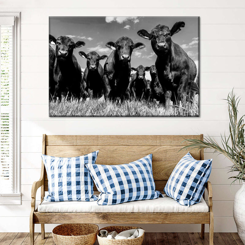 Monochrome Angus Cows Wall Art