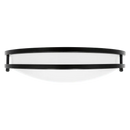 Luxrite  LR2329 Black LED Surface Mount Selectable CCT