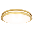 Luxrite  LR2329 Brass Surface Mount Selectable CCT