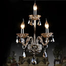 GobekUsa Clear Crystal Wall Lamp with LED Bulbs for Luxury Bedside Lighting