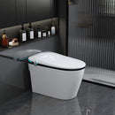 Luxury Smart Toilet With Built-In Auto Open And Close Bidet Seat, Foot Sensor, LED Display And Night Light (SAK31256)