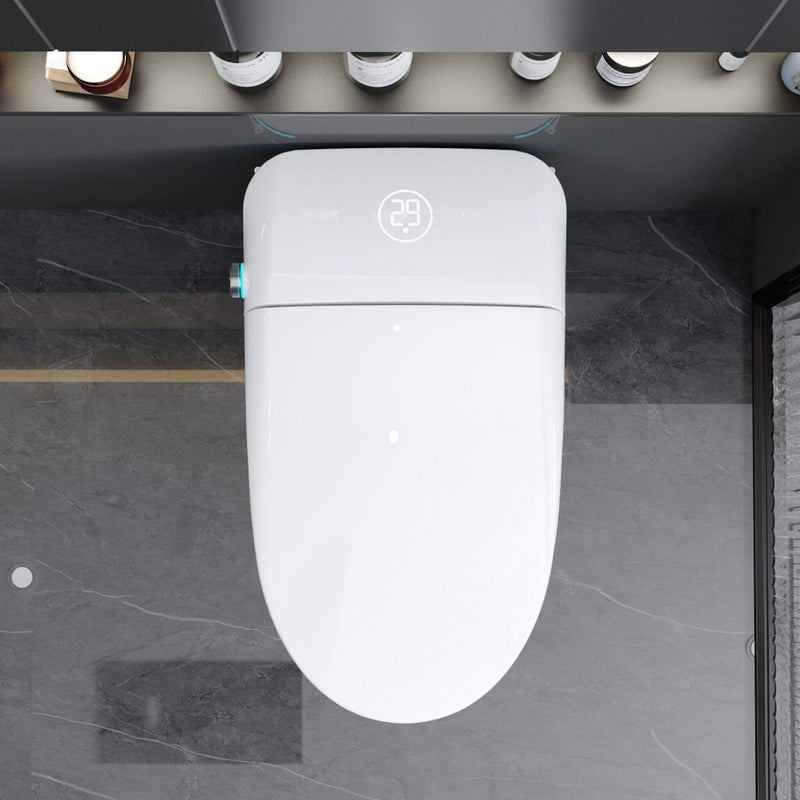 Luxury Smart Toilet With Built-In Auto Open And Close Bidet Seat, Foot Sensor, LED Display And Night Light (SAK31256)