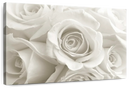 Pure White Roses Wall Art