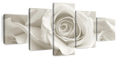 Pure White Roses Wall Art