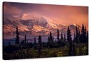 Denali Mountains And Forest Wall Art