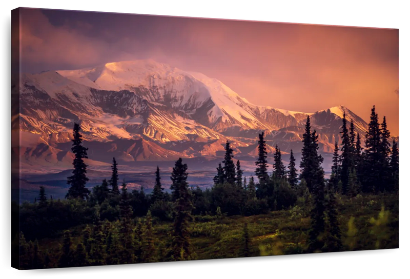 Denali Mountains And Forest Wall Art