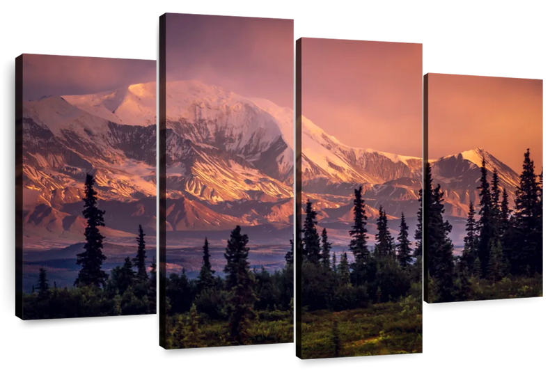 Denali Mountains And Forest Wall Art