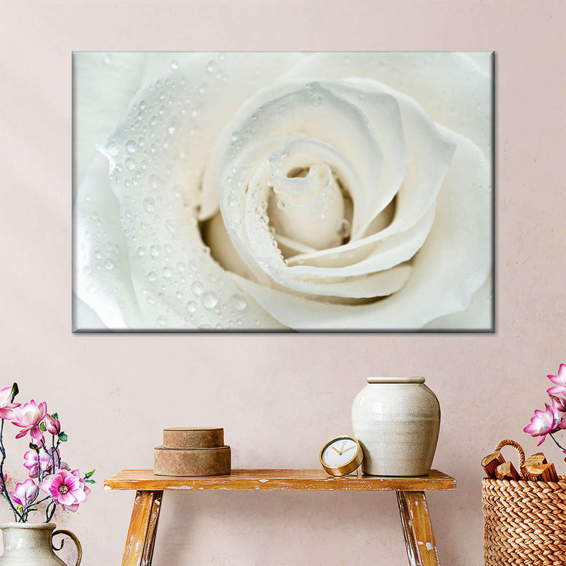 White Rose Close Up Wall Art