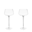 Raye Angled Crystal Amaro Spritz Glasses Set of 2