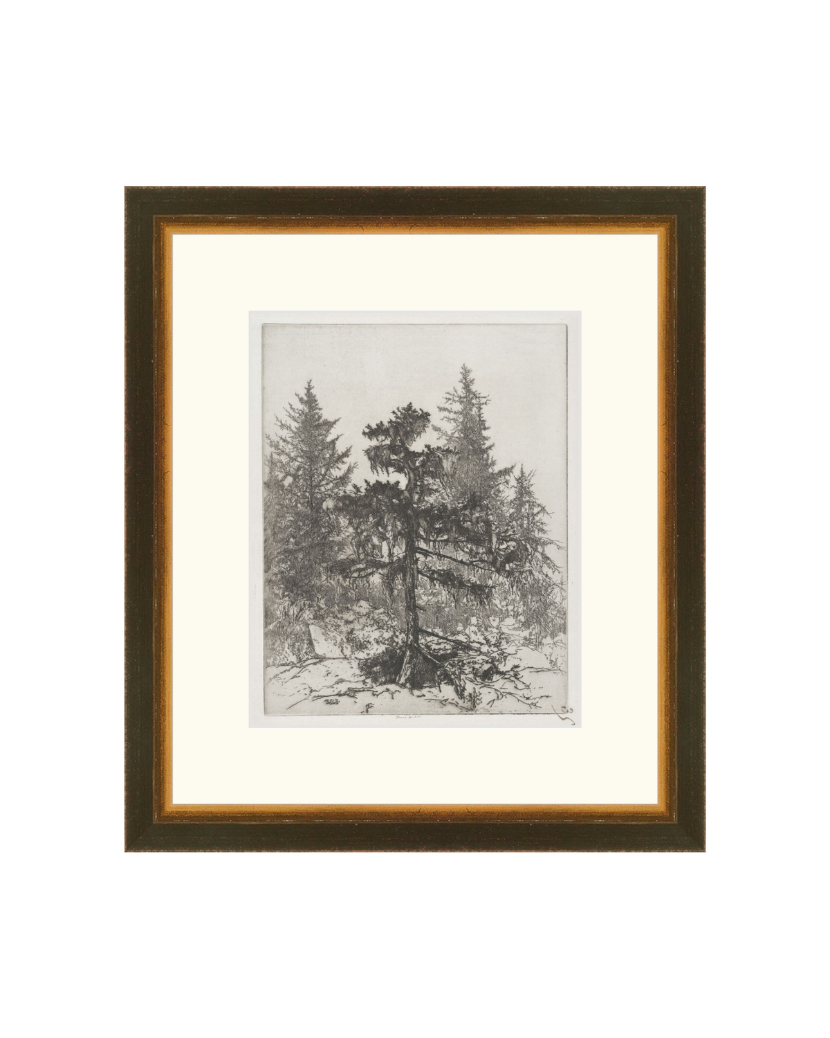 Pine Etching, photo 26 of 38
