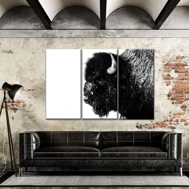 Black Bison Wall Art