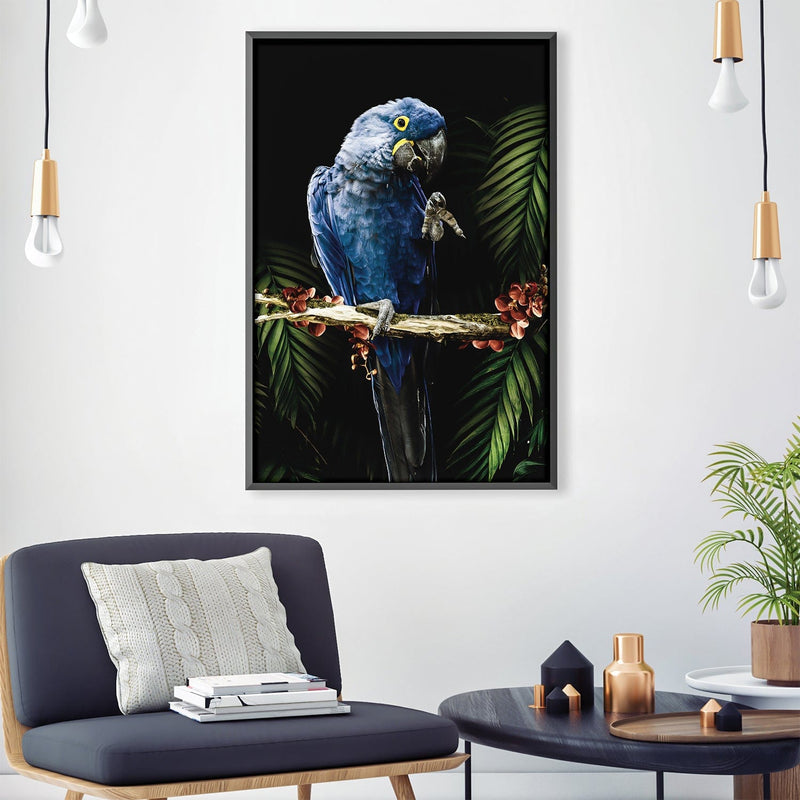 Macaw Canvas