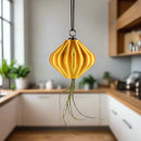 MAGNETIC Air Planter, JellyFish, Air Plant Included