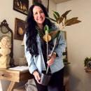 31 Inch Potted Faux Magnolia Tree by Decor Steals
