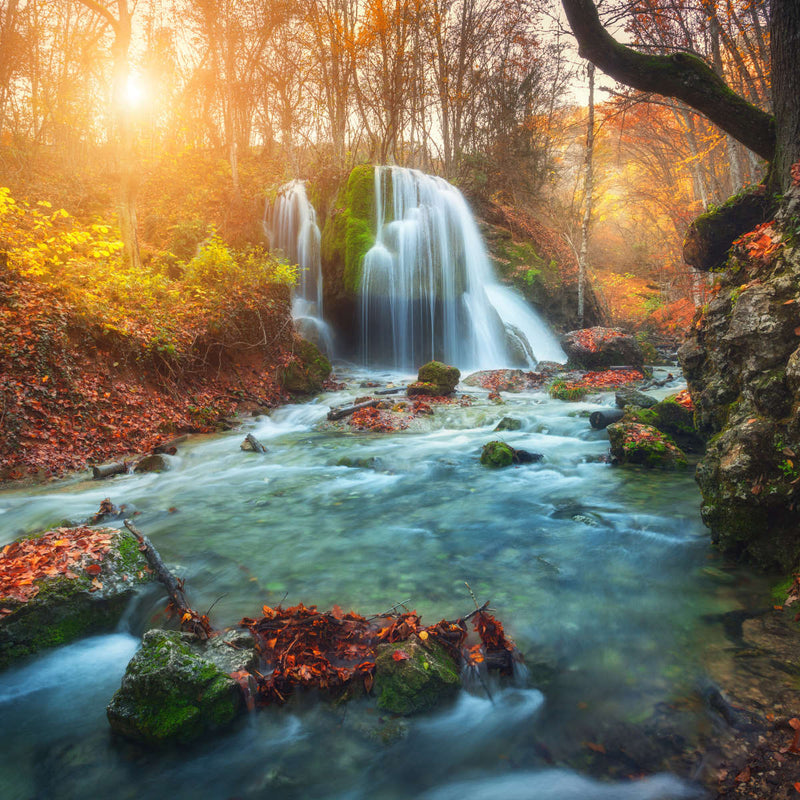 Autumnal Forest Waterfall Wall Art